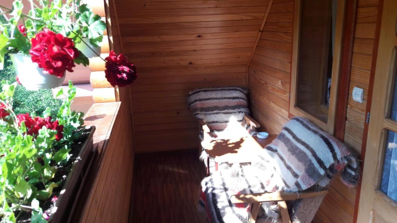 Family&Friends Appartement Ceahlău Buitenkant foto